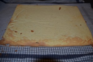 biscuit sur papier cuisson et torchon humide